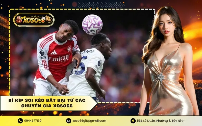Bí Kíp Soi Kèo Bất Bại Từ Các Chuyên Gia xoso66