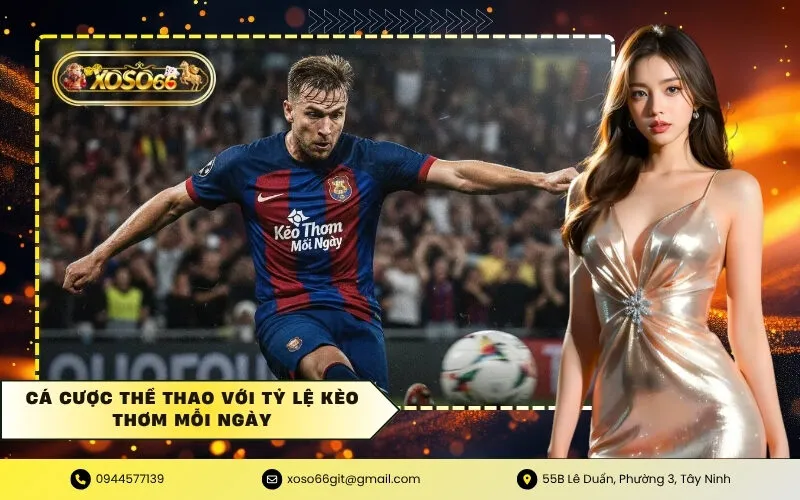 Cá cược thể thao với tỷ lệ kèo thơm mỗi ngày