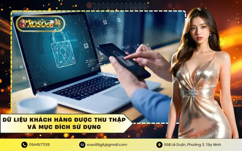 Dữ liệu khách hàng được thu thập và mục đích sử dụng