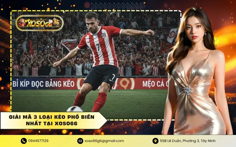 Giải mã 3 loại kèo phổ biến nhất tại XOSO66