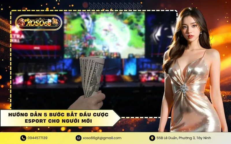 Hướng dẫn 5 bước bắt đầu cược Esport cho người mới