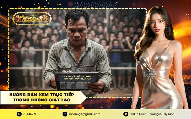 Hướng dẫn xem trực tiếp Thomo không giật lag