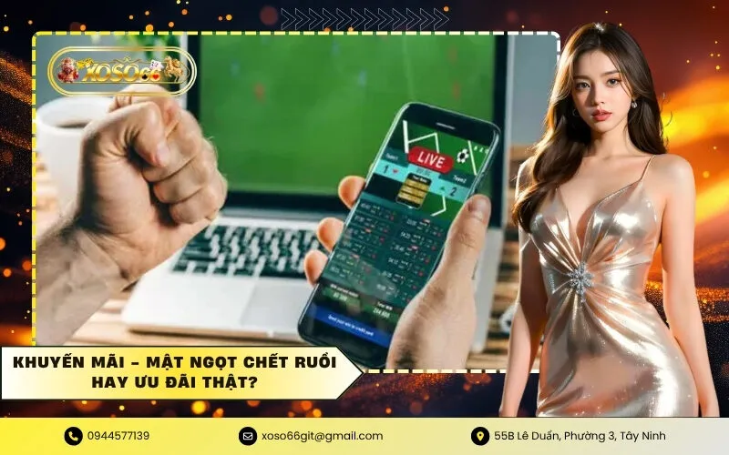 Khuyến Mãi - Mật Ngọt Chết Ruồi Hay Ưu Đãi Thật