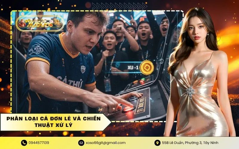 Phân loại cá đơn lẻ và chiến thuật xử lý