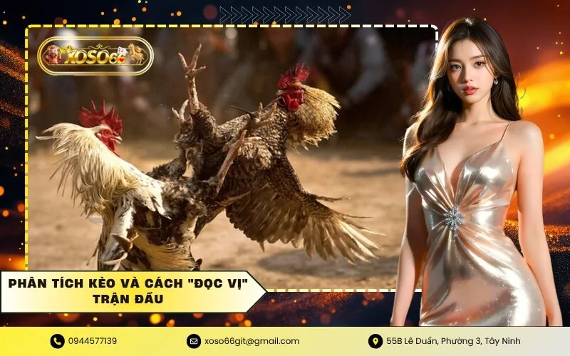 Phân Tích Kèo và Cách Đọc Vị Trận Đấu