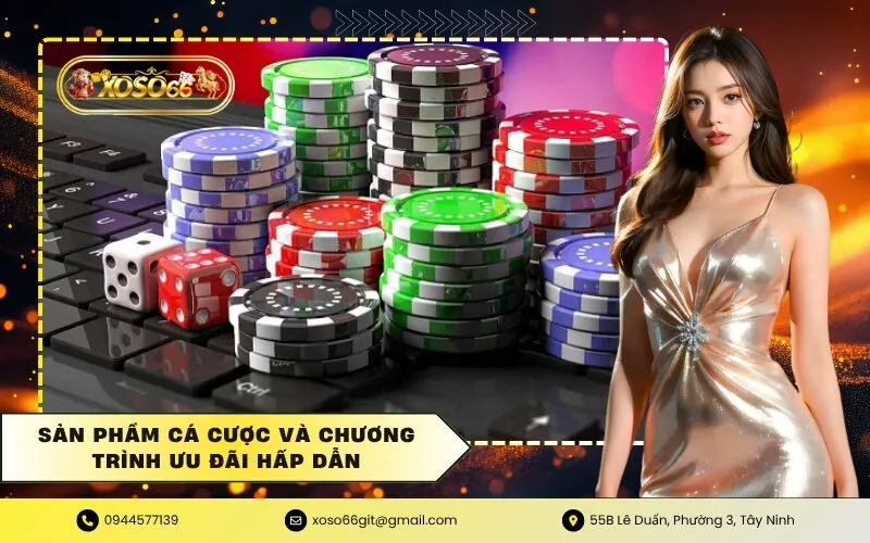 Sản phẩm cá cược và chương trình ưu đãi hấp dẫn