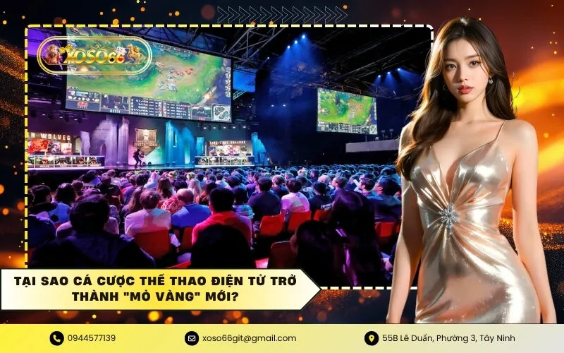 Tại sao cá cược Thể thao điện tử trở thành mỏ vàng mới