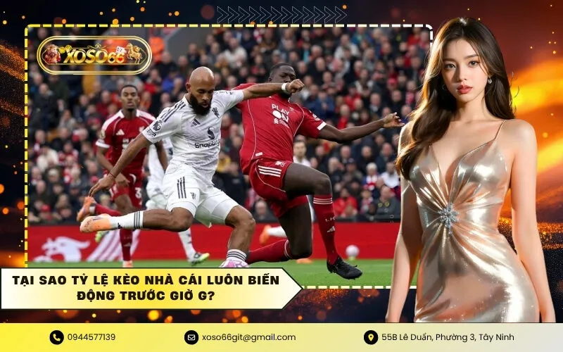 Tại Sao Tỷ Lệ Kèo Nhà Cái Luôn Biến Động Trước Giờ G